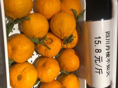 -眉州东坡(春秀路店)
