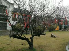 -汴河街