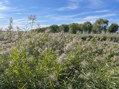 -野鸭湖国家湿地公园