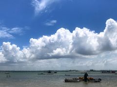 -北海金海湾红树林生态旅游区