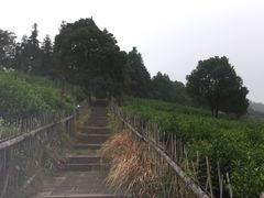 -酒仙湖景区