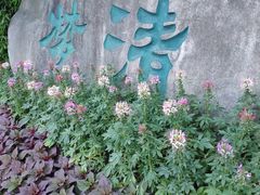 -苏州河梦清园环保主题公园