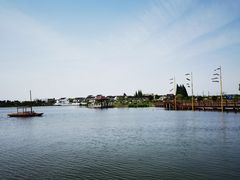 -鹅湖玫瑰文化园