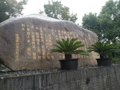 -陈家山荷花公园