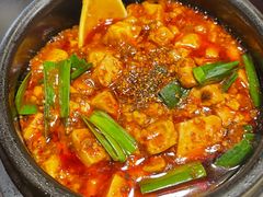 -陈麻婆豆腐总店
