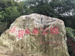 -瑶湖郊野森林公园