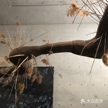 每个月2号龙美术馆开放日； 四个展览免费开放