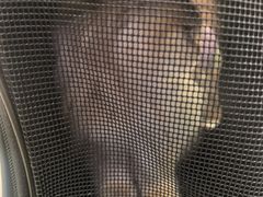 -瑞鹏宠物医院·宠保定点·心脏科·内科(御桥分院)