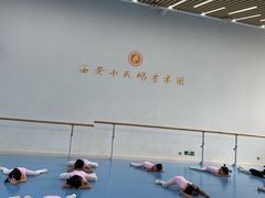 -西安小天鹅艺术团(曲江Alice店)