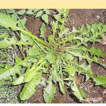 总有不了解的朋友觉得，买点不好吗，非得去挖