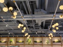 -翡翠拉面小笼包Crystal Jade(上海浦东国际机场T1店)