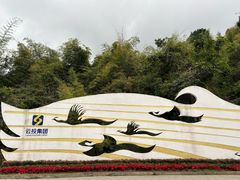 -西双版纳原始森林公园