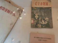 -北京动物园-畅观楼