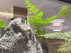 -腾龙阁|经典川菜(SM城市广场店)