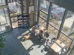 -了不起的考拉咖啡店(高新店)