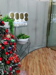 -八佰伴8008星级形象店