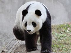-天津市动物园