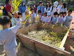 -徐汇区新宜幼稚园