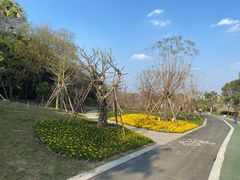 -王借岗森林公园