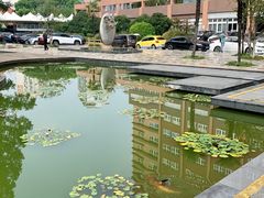 -叶家花园