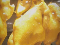 湛江白切鸡-湛江渔港·大排档(乐园路总店)