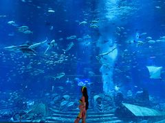 -瑰丽酒店·海吧·天际下午茶·现场DJ·天台酒吧