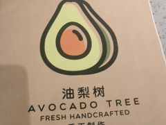 -油梨树AVOCADO TREE(嘉里中心店)