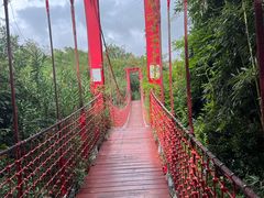 -上海吴淞炮台湾国家湿地公园