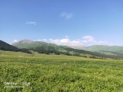 -新疆那拉提国家旅游度假区
