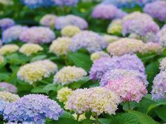 -万达影城(闵行颛桥万达广场杜比影院店)