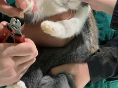 -雨林宠物医院 非犬猫异宠专科