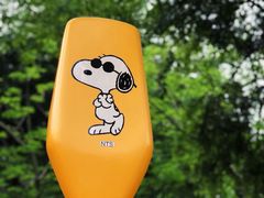 -史努比缤纷世界