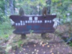 -峡谷浮石林景区