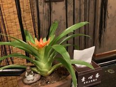 -素心斋素食餐厅