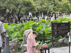 -莲湖公园