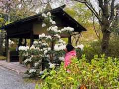 -三千院