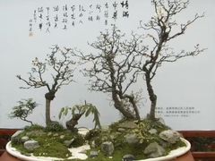 -无锡梅园公园