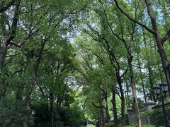 -上海虹桥迎宾馆