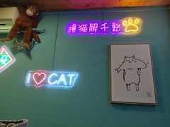 -十年猫舍·猫咪专门店(普陀店)
