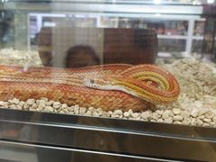 -三旗百汇商品城