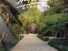 -杭州植物园