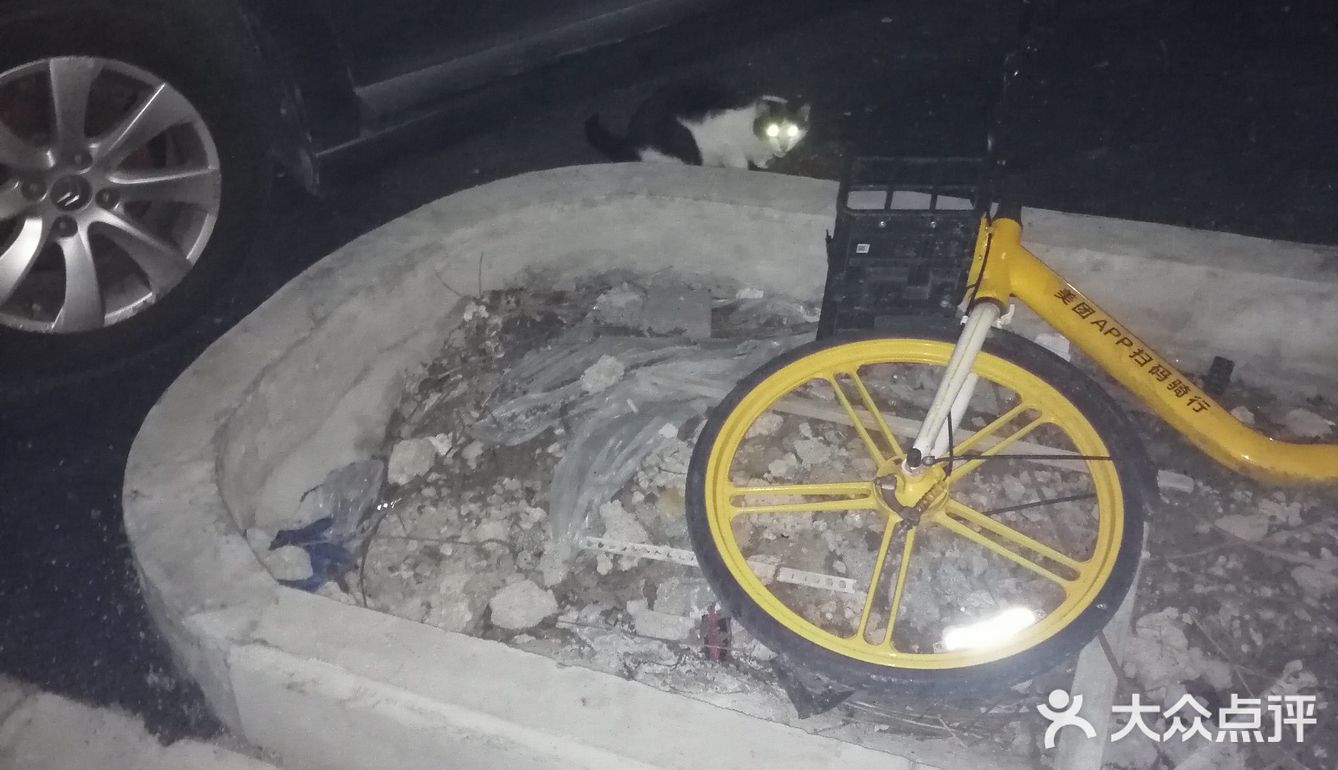 【6区】终于在白天看清了她的脸，起名梦露。