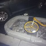 【6区】终于在白天看清了她的脸，起名梦露。