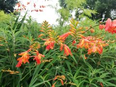 -昆山城市生态森林公园