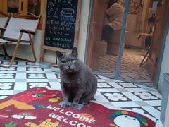 -有猫咖啡umeow coffee