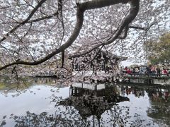 -印象西湖·最忆是杭州实景演出