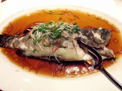 葱油清蒸笋壳鱼-上海金桥红枫万豪酒店-万豪中餐厅