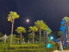 -太阳岛度假酒店