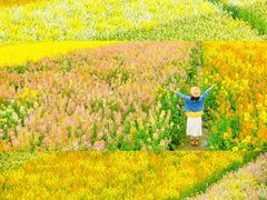 -中国天府农业博览园