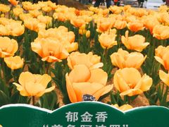 -江南大学(蠡湖校区)